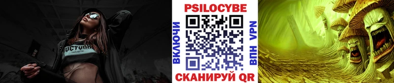 Галлюциногенные грибы Psilocybine cubensis  Купить закладки  Могоча 